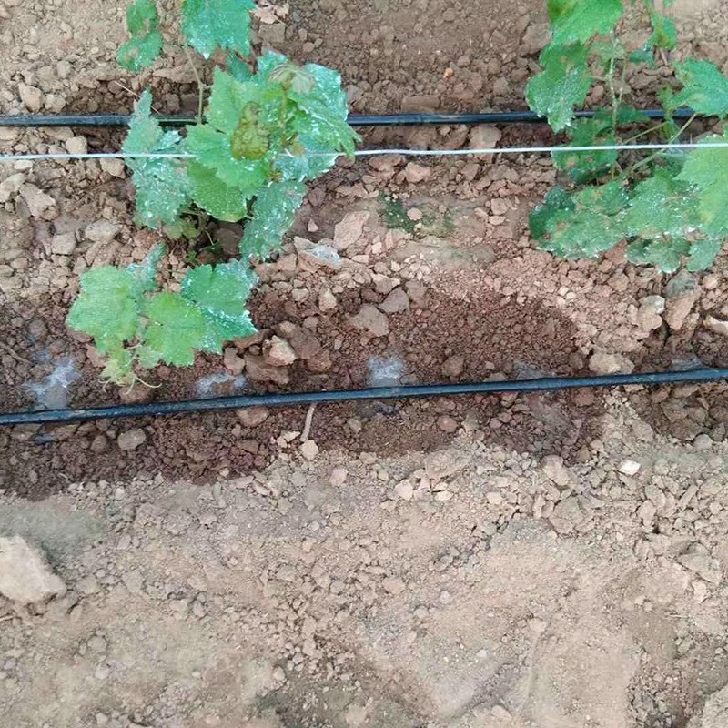 厂家供应16mmpe滴灌管 果树大棚农用灌溉内镶圆柱式滴灌管图5