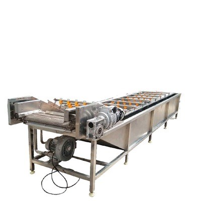 畅销款喷淋式菌菇类清洗设备 叶类蔬菜去杂清洗线