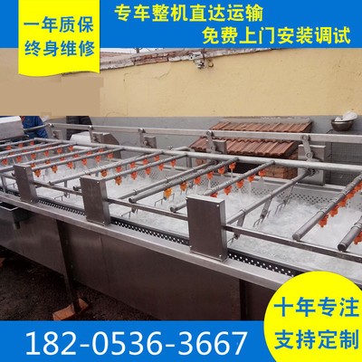 畅销款喷淋式菌菇类清洗设备 叶类蔬菜去杂清洗线图2