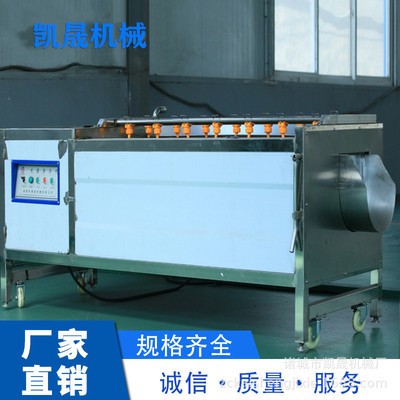 芒果连续翻转清洗机 桔梗毛辊清洗加工设备 果蔬翻滚清洗机图2