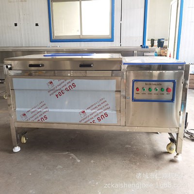 芒果连续翻转清洗机 桔梗毛辊清洗加工设备 果蔬翻滚清洗机图3