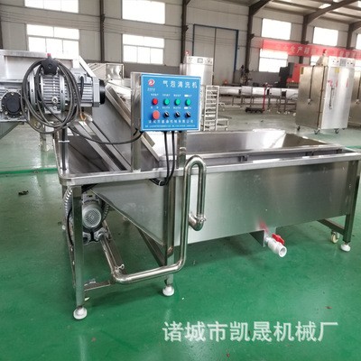 草莓气泡清洗机不伤表皮 蘑菇气泡清洗 西蓝花去泥清洗加工设备