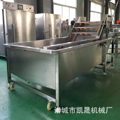 草莓气泡清洗机不伤表皮 蘑菇气泡清洗 西蓝花去泥清洗加工设备图3