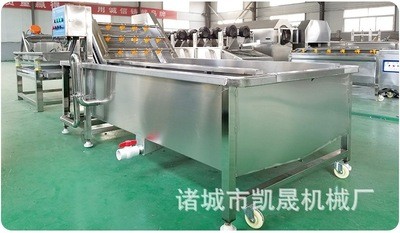 草莓气泡清洗机不伤表皮 蘑菇气泡清洗 西蓝花去泥清洗加工设备图4