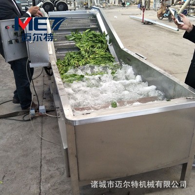 供应叶类蔬菜清洗机 根茎类蔬菜气泡清洗机 圣女果清洗机支持定做图3