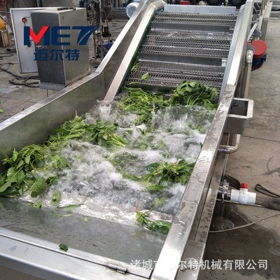 供应叶类蔬菜清洗机 根茎类蔬菜气泡清洗机 圣女果清洗机支持定做图4