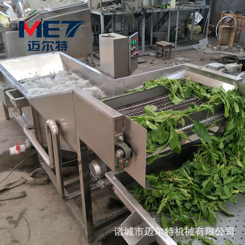 供应叶类蔬菜清洗机 根茎类蔬菜气泡清洗机 圣女果清洗机支持定做图5