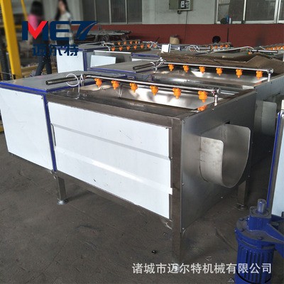 红薯去皮清洗机 地瓜毛辊清洗机 专业红薯土豆去皮清洗机现货