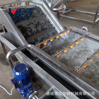 香菇气泡清洗机 新鲜木耳清洗加工生产线 商用茶叶清洗加工机器