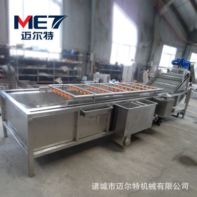 香菇气泡清洗机 新鲜木耳清洗加工生产线 商用茶叶清洗加工机器图3