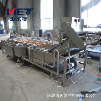 香菇气泡清洗机 新鲜木耳清洗加工生产线 商用茶叶清洗加工机器图4