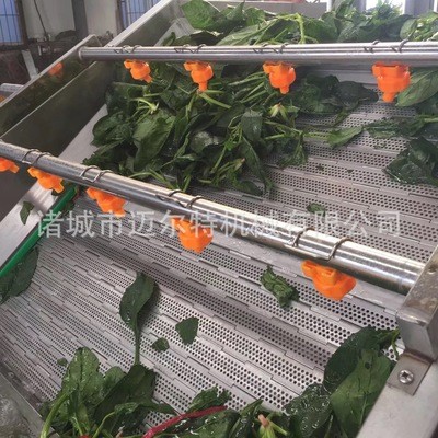 贵州毛尖茶叶清洗机 茶叶漂烫机烘干加工线 荷叶加工成套设备