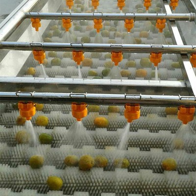 全自动柑桔清洗机 优质不锈钢制作气泡清洗机 水果加工清洗设备