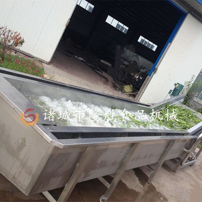 全自动柑桔清洗机 优质不锈钢制作气泡清洗机 水果加工清洗设备图2