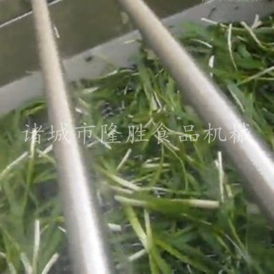 全自动柑桔清洗机 优质不锈钢制作气泡清洗机 水果加工清洗设备图4