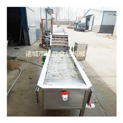 全自动柑桔清洗机 优质不锈钢制作气泡清洗机 水果加工清洗设备图5