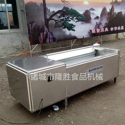 土豆削皮机 脱皮机 土豆加工设备 萝卜清洗机 红枣毛刷清洗机图2