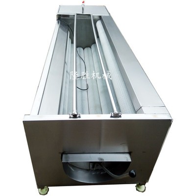 核桃栗子毛辊式清洗机 花生清洗机 药材清洗去皮加工设备图5