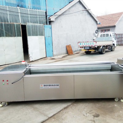 核桃栗子毛辊式清洗机 花生清洗机 药材清洗去皮加工设备图3