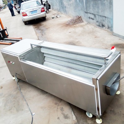 核桃栗子毛辊式清洗机 花生清洗机 药材清洗去皮加工设备图2