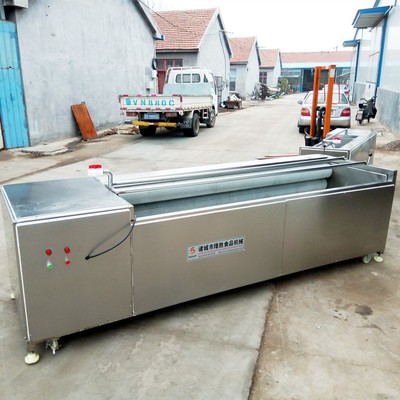 核桃栗子毛辊式清洗机 花生清洗机 药材清洗去皮加工设备图4