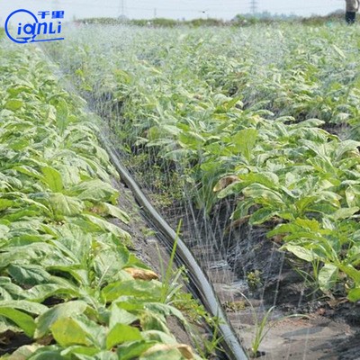 加工农业灌溉贴片式滴灌带 滴水均匀农业滴灌带 大棚滴灌带批发图3