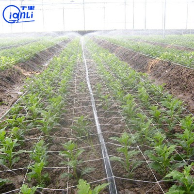 农用灌溉水带微喷带 滴灌雾化灌溉软水管 喷灌设备多孔微喷带批发图3