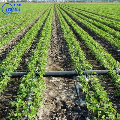 农田灌溉滴水均匀滴灌带 农用节水微喷滴灌带 大棚蔬菜微喷滴灌带图4