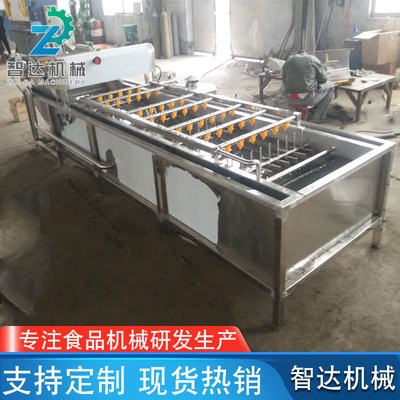 供应果蔬清洗机 气泡喷淋竹笋清洗机 果蔬清洗机械设备生产厂家
