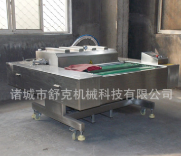 厂家直销批发真空包装机 食品双室真空包装机 大米真空包装封口机图5
