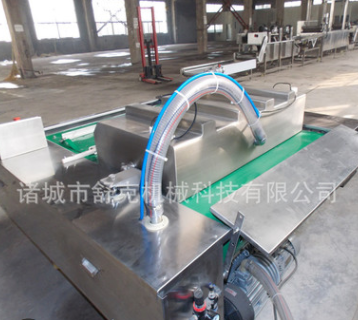 厂家直销批发真空包装机 食品双室真空包装机 大米真空包装封口机图3