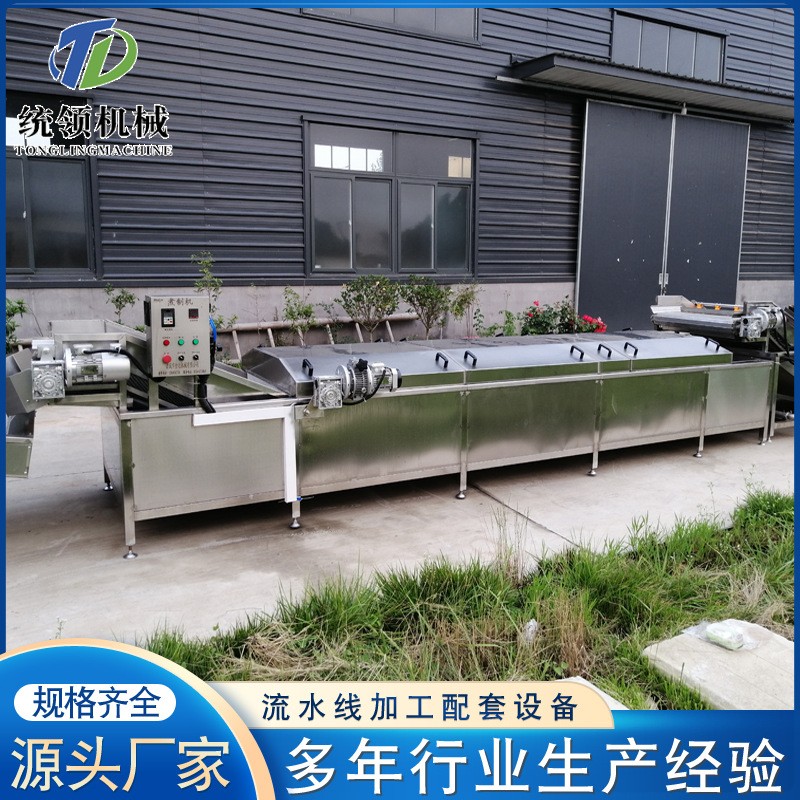 厂家供应豆角漂烫机 连续式漂烫煮制机 蔬菜全套加工生产线图2