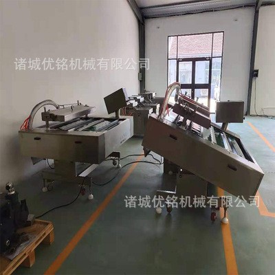 厂家供应 坚果多功能食品封口机 滚动式真空包装机 松子包装设备图4