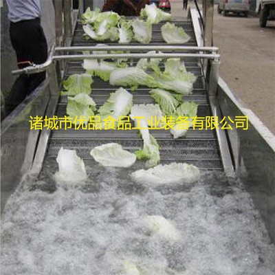 小型气泡清洗机 自动不锈钢果蔬清洗机 蔬菜 果蔬清洗机图3