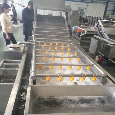 蔬菜清洗生产线 不锈钢净菜加工设备 蔬菜清洗设备 气泡清洗机图4