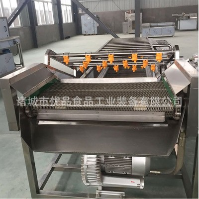 蔬菜清洗生产线 不锈钢净菜加工设备 蔬菜清洗设备 气泡清洗机图3