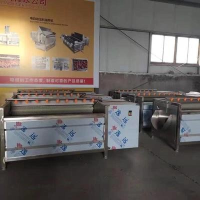 现货供应莲藕去皮清洗机 果蔬清洗设备 十毛刷 土豆清洗机图3