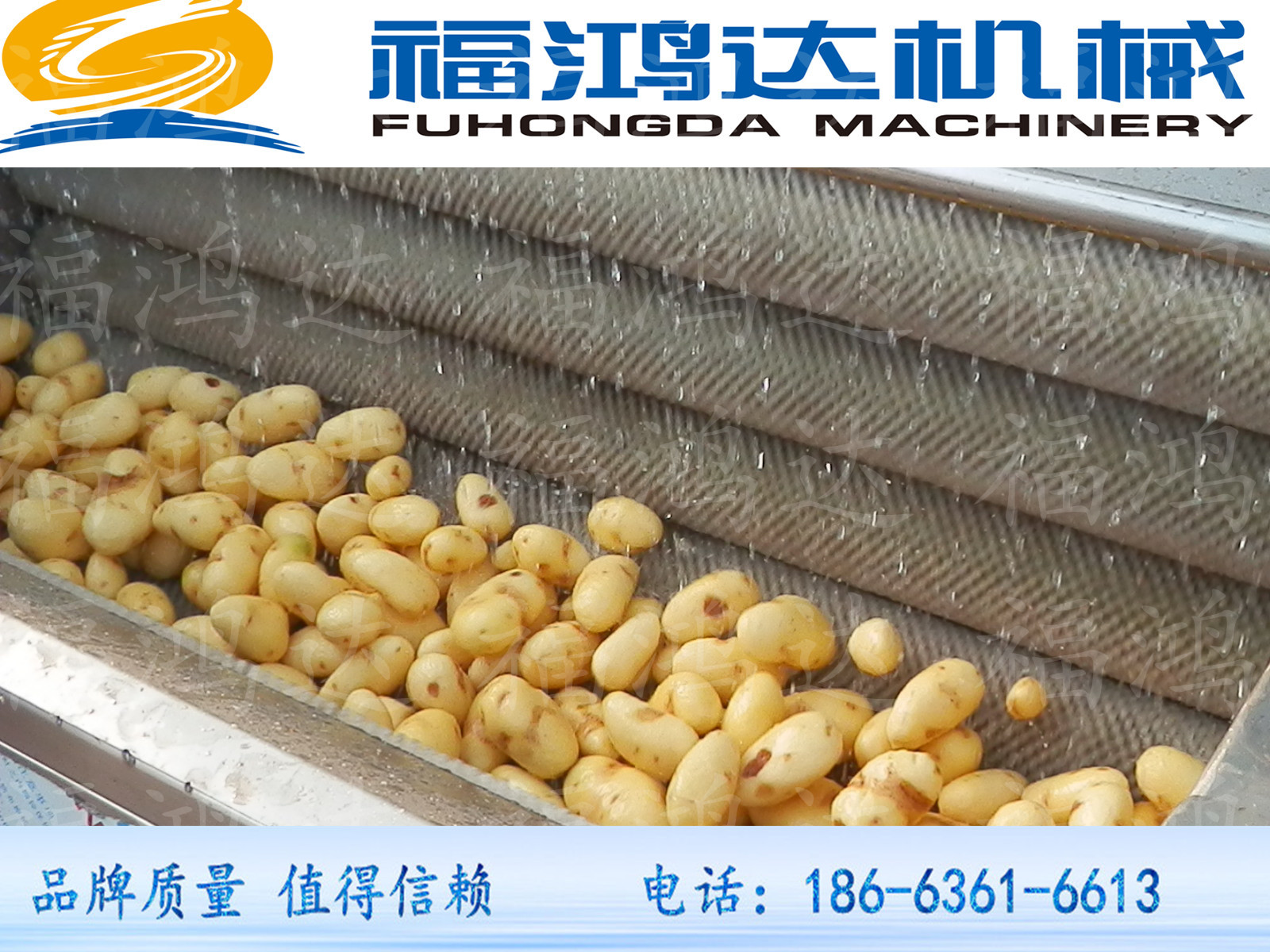 蔬菜毛刷清洗机