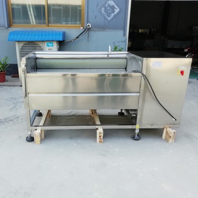 毛刷辊生姜去皮机商用土豆脱皮机新型红薯芋头萝卜清洗去皮机直供图4