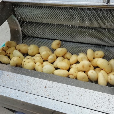 毛刷辊生姜去皮机商用土豆脱皮机新型红薯芋头萝卜清洗去皮机直供