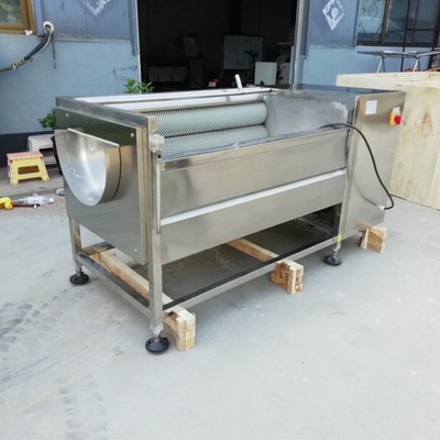 毛刷辊生姜去皮机商用土豆脱皮机新型红薯芋头萝卜清洗去皮机直供图2