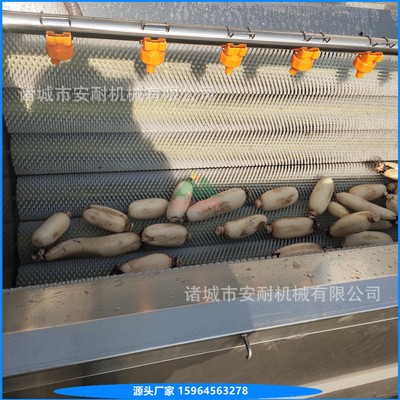 莲藕芋头毛辊清洗机 304不锈钢去皮机 加粗毛辊清洗设备图4