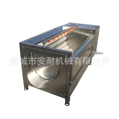 莲藕芋头毛辊清洗机 304不锈钢去皮机 加粗毛辊清洗设备图5