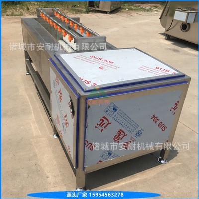 根茎类毛刷清洗机 中药材毛辊清洗设备 商用洗菜机 芥菜头去泥机图4