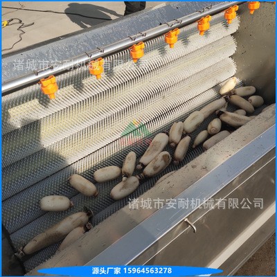 火烧猪头毛刷清洗机 自动出料毛辊清洗设备 洗猪耳朵机器 安耐图3