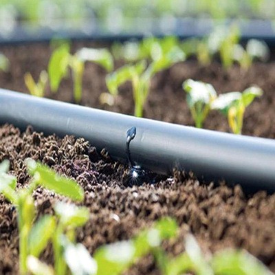 16mm农用内镶式滴灌管PE贴片滴灌带厂家山林果树滴水灌溉设备配件图4