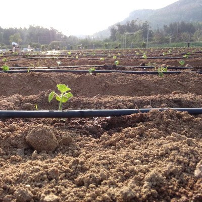 农用PE贴片式滴灌带16mm蔬菜大棚滴灌管果园绿化渗透滴灌节水设备图4