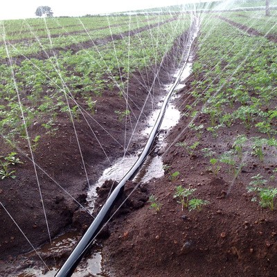 厂家直供PE微喷带农用喷灌带蔬菜大棚用喷水带果园苗圃多孔软管图4