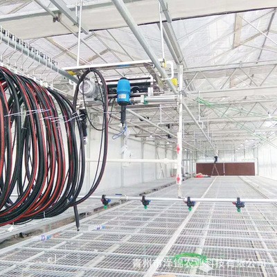 轨道自走式喷灌机 经济型温室喷灌机 厂家定制 移动式喷灌机厂家图2
