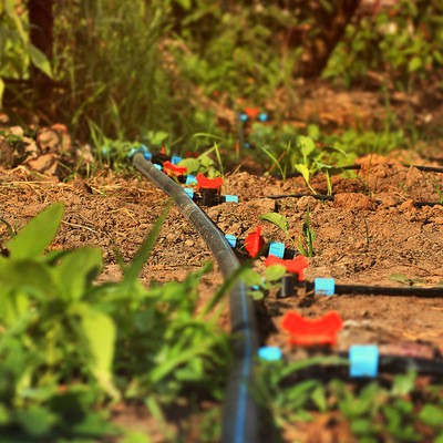 山地果树苗木现代灌溉滴灌管四分16*1.0*300/3L/500米/卷滴水均匀图4